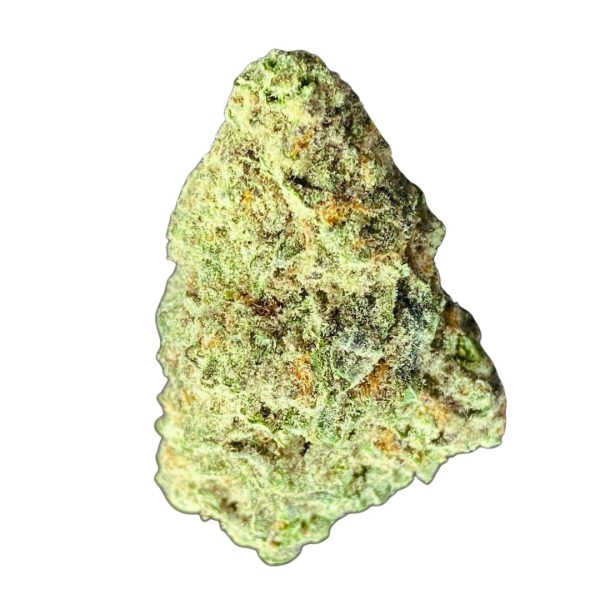 a close up of a plant EL Blanco