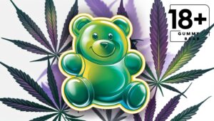 Buudabomb THC Edibles vs CBD Edibles: The Ultimate Showdown