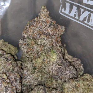 Astro Pink