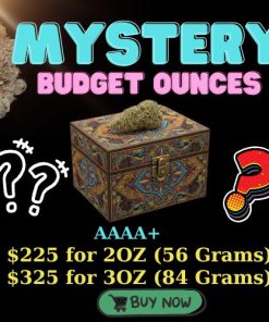 a box with a green plant on top,Mystery Budget Ounces Deal AAAA+ / Premium Surprise, Budget Price!