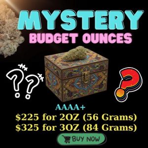 a box with a green plant on top,Mystery Budget Ounces Deal AAAA+ / Premium Surprise, Budget Price!