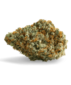 Donny Burger Marijuana Strain