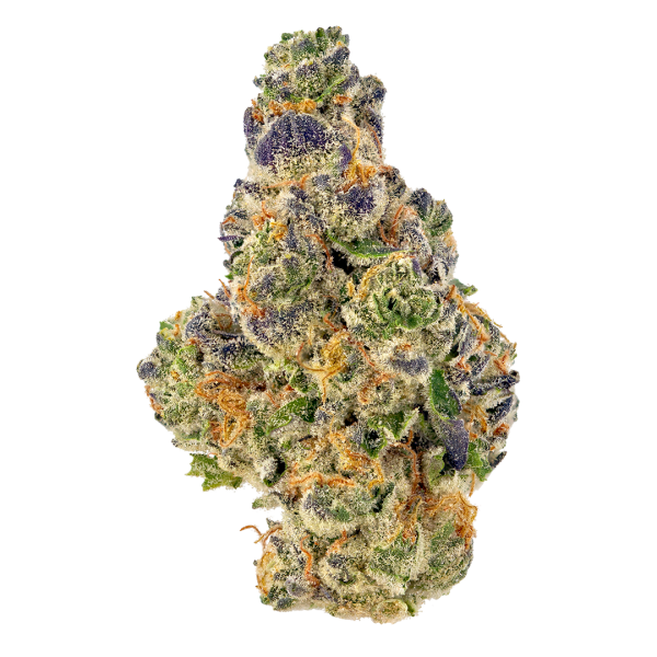 Miklo is an evenly balanced hybrid strain (50% indica/50% sativa) created through crossing the potent Medellin X Blanco strains. If you're after the perfect lazy afternoon high with a great flavor to go along with it, Miklo is totally the choice for you. The Miklo high is filled with happy relaxation and a boost of sociability from the start.