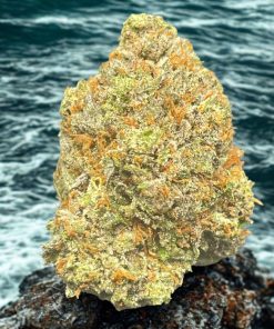 Planet Grapes Supreme