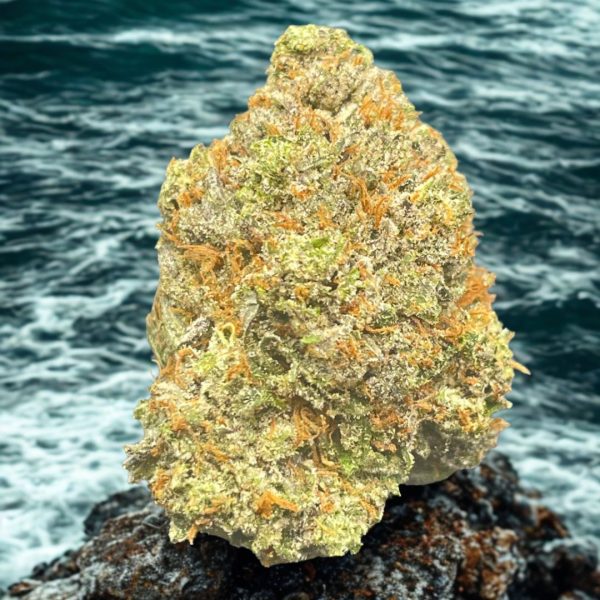 Planet Grapes Supreme