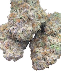 Queen Mother Supreme (New Batch)