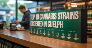 Top Cannabis Strains in Guelph