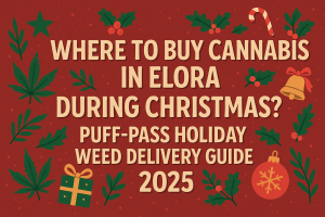 Where to Buy Cannabis in Elora During Christmas? Puff-Pass Holiday Weed Delivery Guide 2025