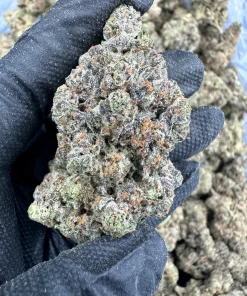 Buy Marathon OG online | Puff Pass