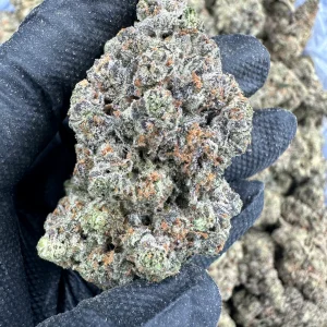 Buy Marathon OG online | Puff Pass