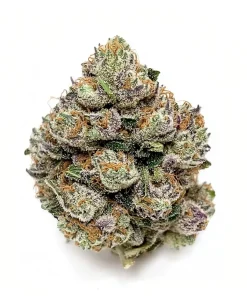 Super Boof "Strain of the Year 2024"