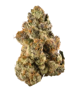 Pink Gelato/ BC Exotic