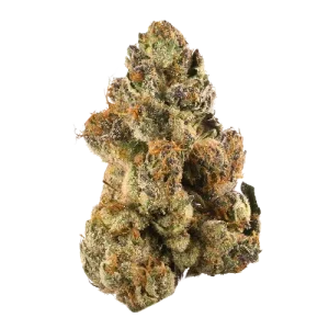 Pink Gelato/ BC Exotic