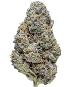 Home 11 Super Flawless Pink