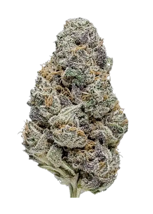 Super Flawless Pink 1 Super Flawless Pink