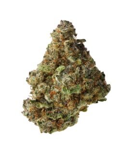 Super Buff Cherry ( Big Bulk )