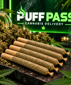 King Size Preroll Joint Indica