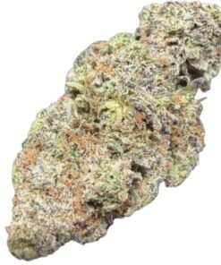 Pink Ghost