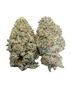 GMO Cookies