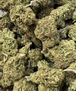 Bob Hope is a slightly sativa dominant hybrid strain (60% sativa/40% indica)