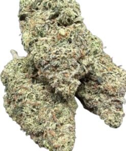 Pink Tuna