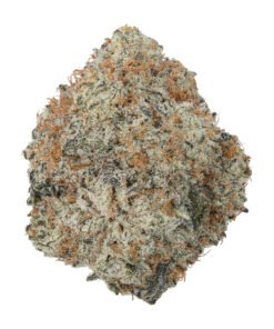 Grease Monkey