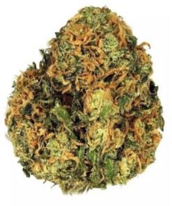 Green Crack