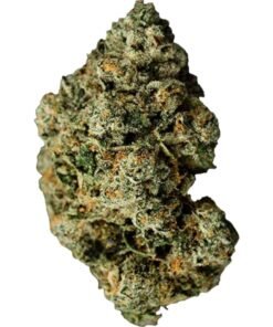 Jet Fuel - G6