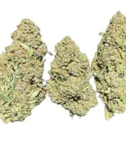 Sunset Sherbet