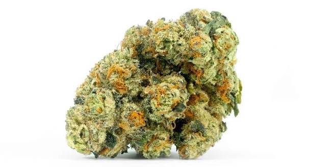 Aspen OG
